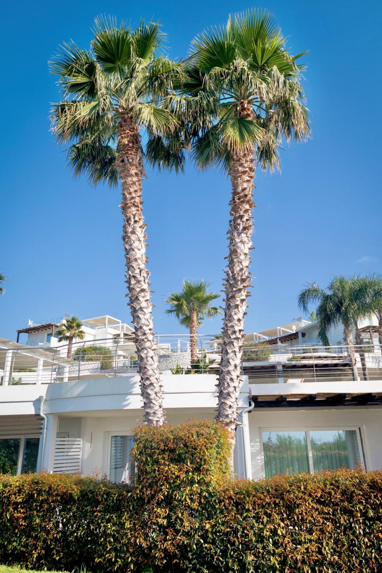 Infinity Resort Tropea Parghelia Bagian luar foto